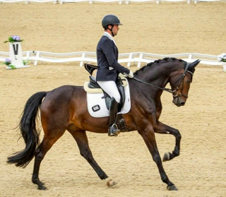 Waverley Dante placed 3rd at Bolesworth International!