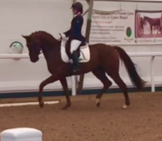 Waverley Federer moves up to Novice with great success!