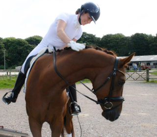 Waverley Federer qualifies for Regionals at Novice Gold