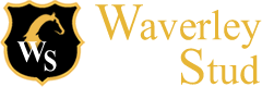 Waverley Stud